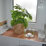 Cozy House With Garden *