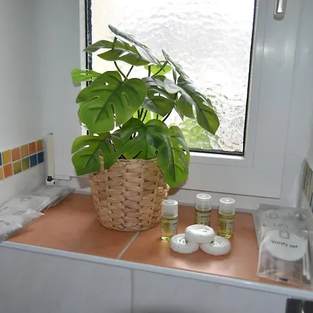 Cozy House With Garden *